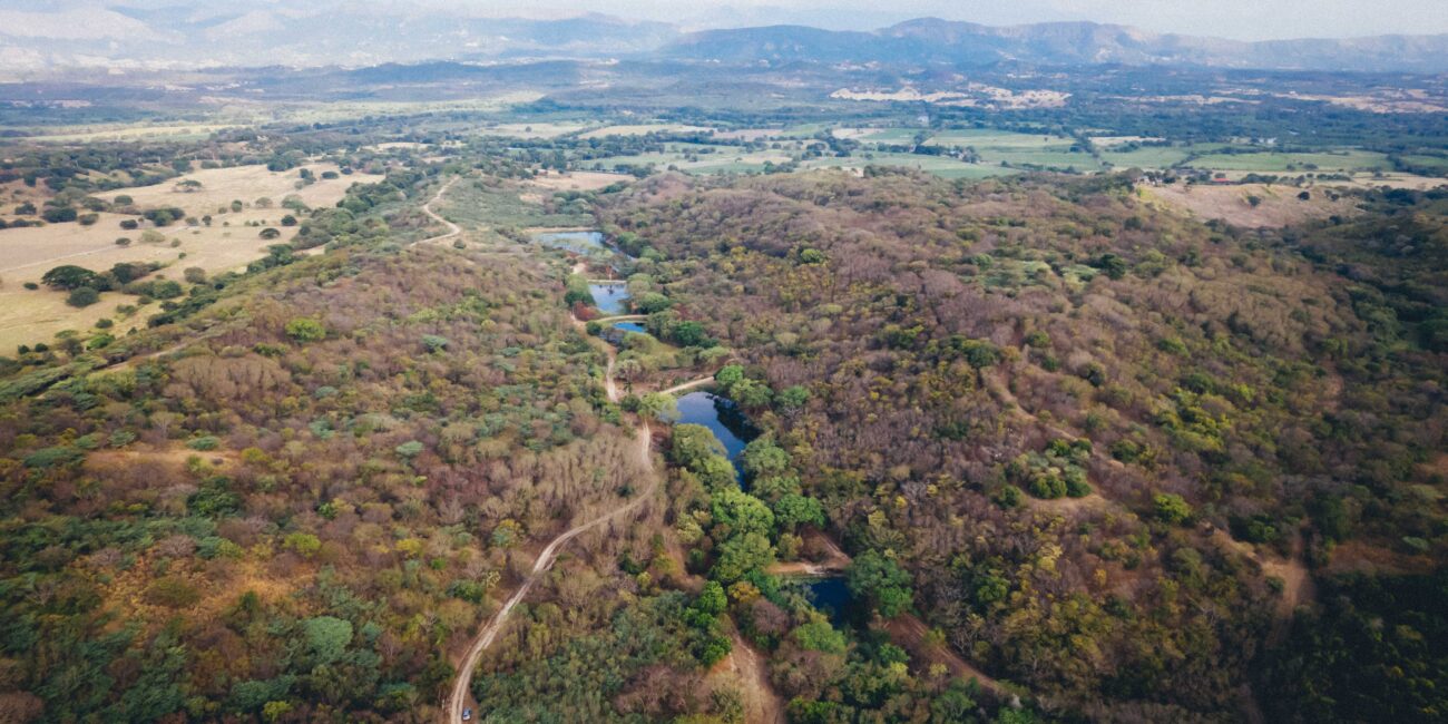 lotes campestres cerca de Bogotá permite a inversionistas acceder a activos sostenibles, con alta valorización y una demanda creciente tanto en turismo como en vivienda. LAGOS DE MORRO AZUL EN TOCAIMA CUNDINAMARCA CERCA A BOGOTA. CUIDAMOS LA FAUNA Y FLORA.
