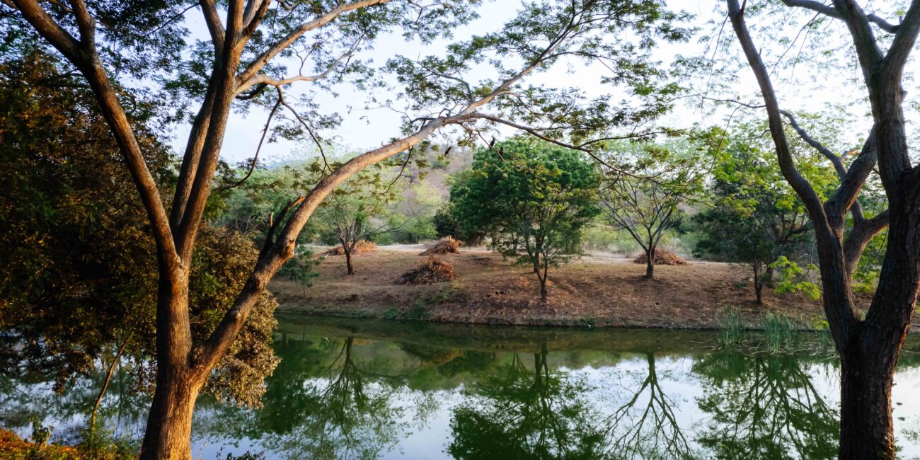 Ardguz apuesta por la sostenibilidad inmobiliaria sin sacrificar el confort. Nuestros proyectos campestres en Cundinamarca integran materiales ecoamigables, diseño bioclimático y espacios que respetan el entorno natural. LAGOS DE MORRO AZUL EN TOCAIMA CUNDINAMARCA CERCA A BOGOTA. CUIDAMOS LA FAUNA Y FLORA ACTIVA EN EL PROYECTO.