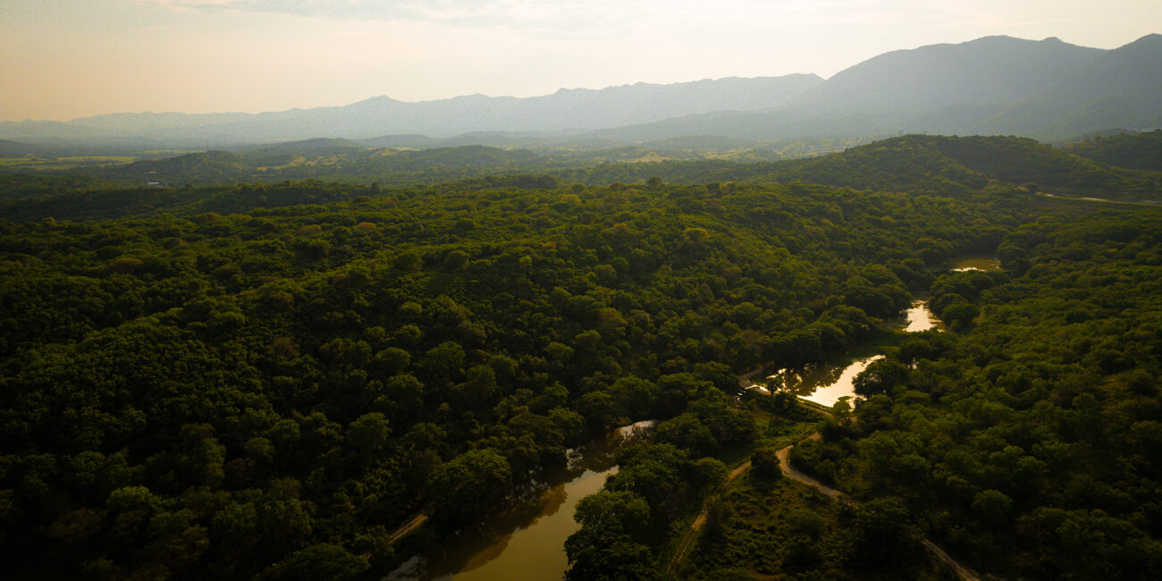 Ardguz apuesta por la sostenibilidad inmobiliaria sin sacrificar el confort. Nuestros proyectos campestres en Cundinamarca integran materiales ecoamigables, diseño bioclimático y espacios que respetan el entorno natural. LAGOS DE MORRO AZUL EN TOCAIMA CUNDINAMARCA CERCA A BOGOTA. 14 lagos al cuidado del proyecto.