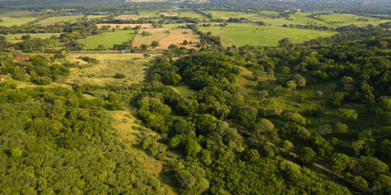 En Constructora Ardguz ofrecemos inversión verde y activos con proyección en finca raíz Colombia. vivir como en un resort en Condominio Lagos de morro azul, Nuestros desarrollos combinan comunidad campestre exclusiva, diseño de alto nivel y conexión con la naturaleza.