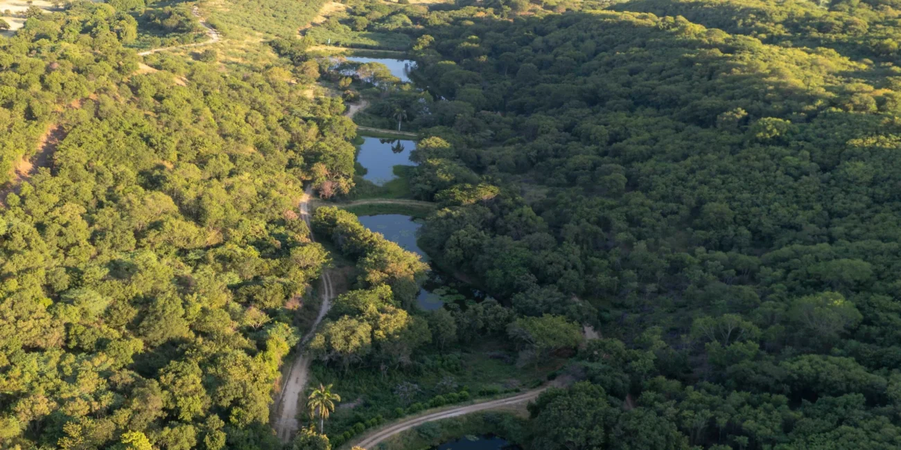Vista aérea del entorno natural con bosques y lagos donde se ubica el condominio campestre Lagos de Morro Azul. Un paisaje ideal para la venta de lotes campestres cerca de Bogotá en Cundinamarca.